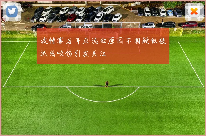 波特赛后耳朵流血原因不明疑似被抓或咬伤引发关注